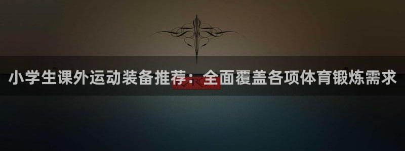南宫大舞台官方正版app集团官网首页：小学生课外运动装备推荐