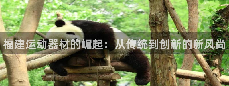 南宫大舞台官方集团官网：福建运动器材的崛起：从传统到创新的新
