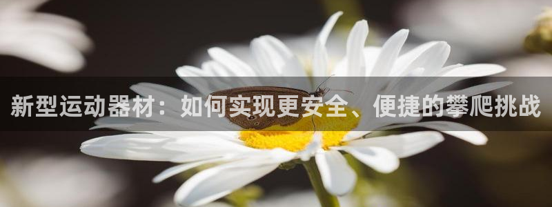 南宫大舞台官网下载平台是正规平台吗：新型运动器材：如