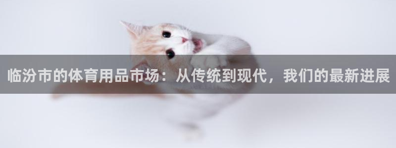 南宫大舞台官方正版app五金厂：临汾市的体育用品市场：从传统