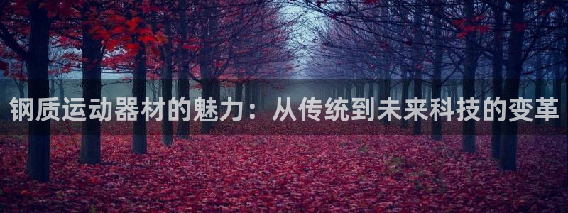 南宫大舞台官方正版app娱乐网站