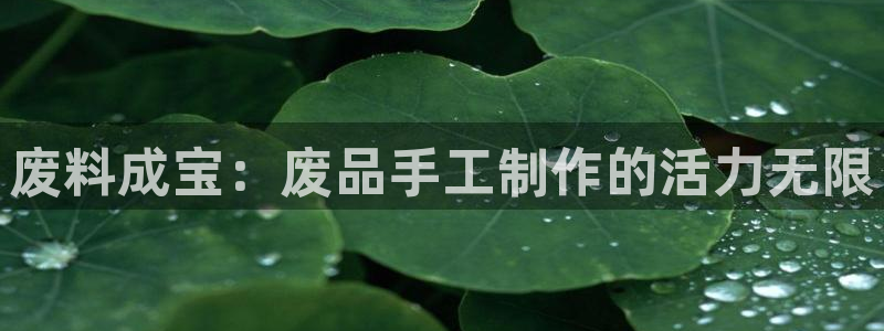 南宫大舞台官网下载招商电话号码：废料成宝：废品手工制作的活力