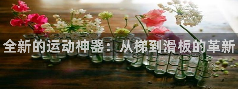 南宫大舞台官方正版app娱乐网站：全新的运动神器：从梯到滑板