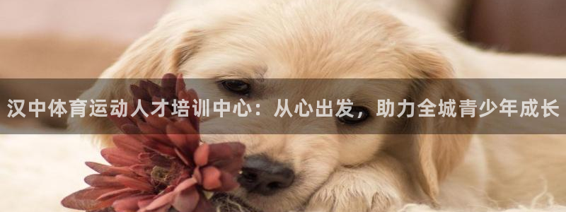 球王会体育：汉中体育运动人才培训中心：从心出发，助力全城青少年成长
