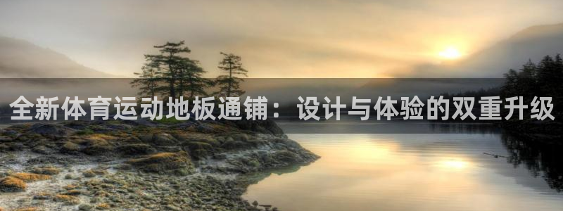 球王会体育：全新体育运动地板通铺：设计与体验的双重升级