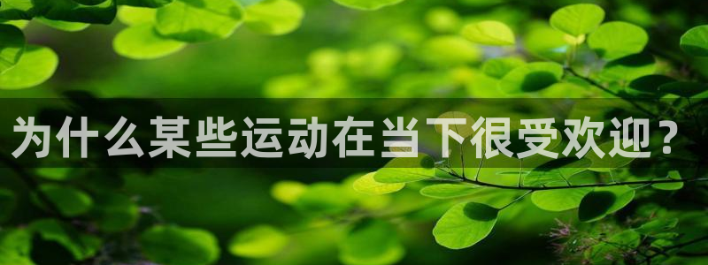 球王会体育：为什么某些运动在当下很受欢迎？