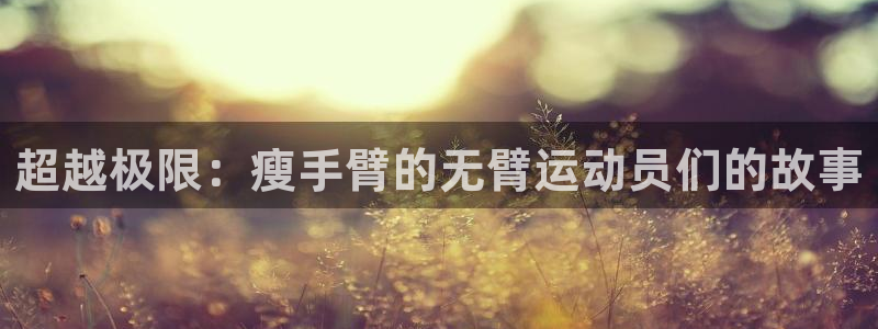 球王会体育
