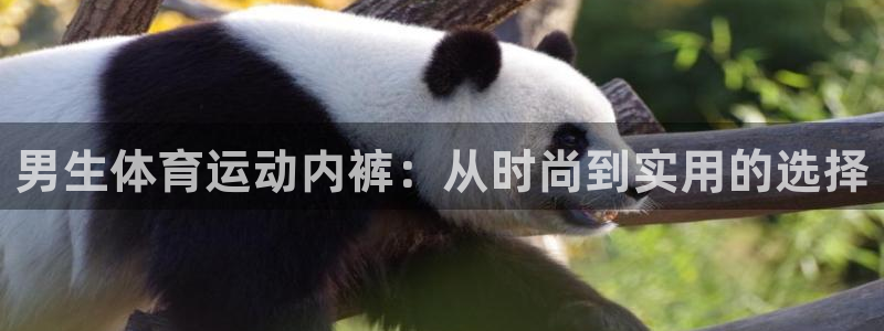 球王会体育：男生体育运动内裤：从时尚到实用的选择