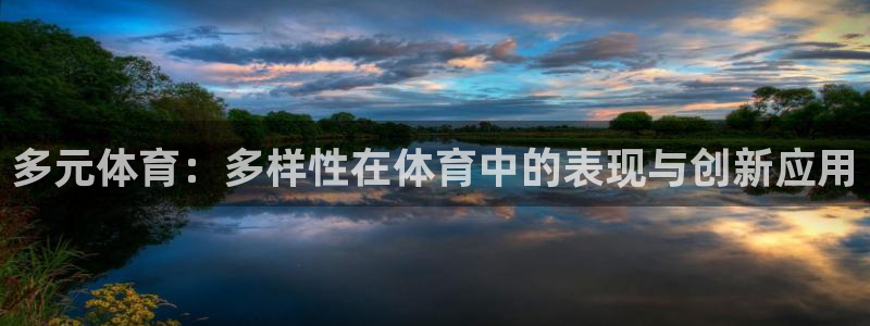 球王会体育：多元体育：多样性在体育中的表现与创新应用