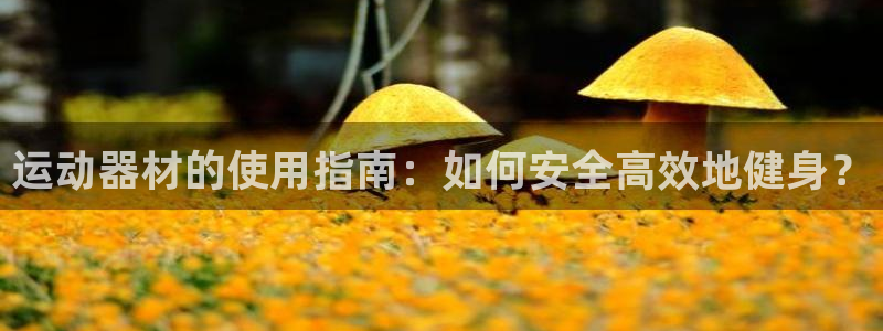 海南南宫大舞台官网下载